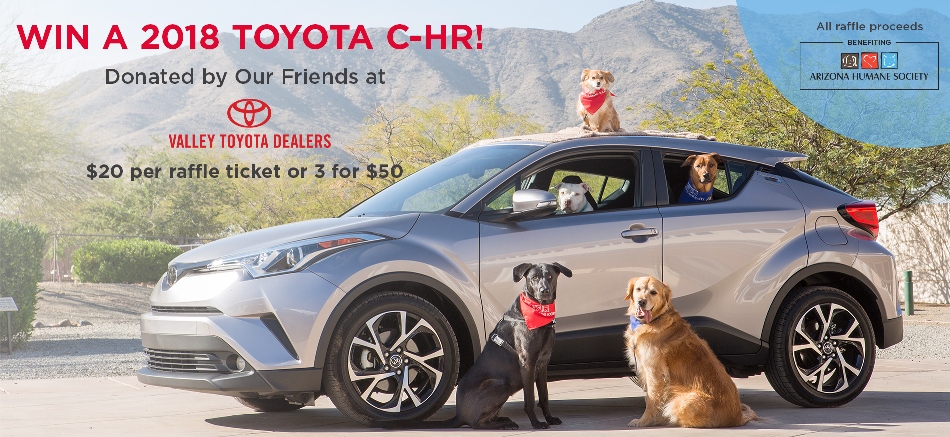 the arizona humane society car raffle is revving up thanks to