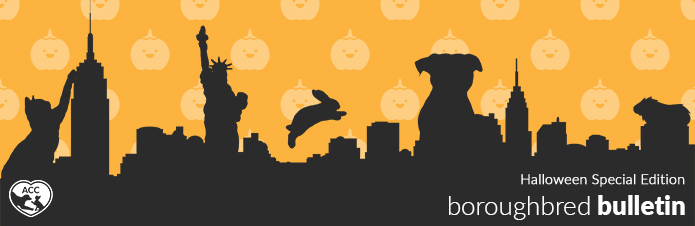 Bulletin_Header-Halloween