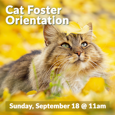 Cat Foster Sept 2022
