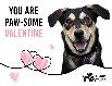 2020 Dog Valentine
