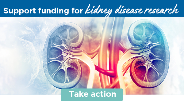 Support funding for kidney research | Take action