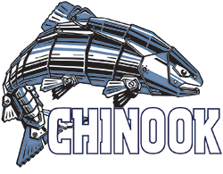 Chinook Scaffold Systems Ltd.