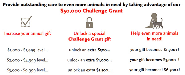 Challenge Grant 2017