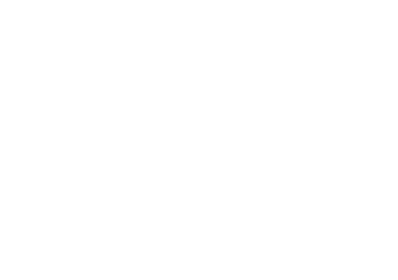 Trans Women Healing Project
