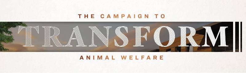 The-Campaign-to-Transform-Animal-Welfare-800x239.jpg