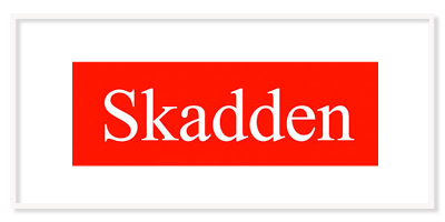 Web Sponsor_Skadden.jpg