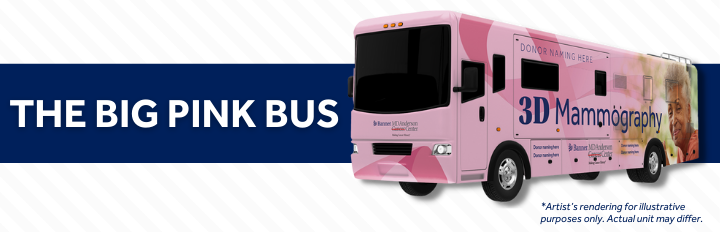 the-big-pink-bus_luminate_720x232-v4.png