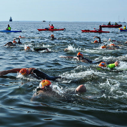People swimming and kayaking in the Buzzards Bay Swim