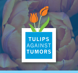An image of flowers and Tulips Against Tumors logo.