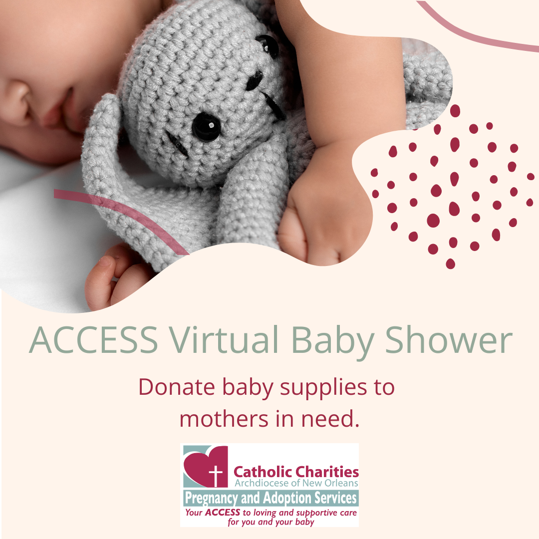 Access virtual baby shower (2)