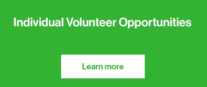 Individual Volunteer Ops Button