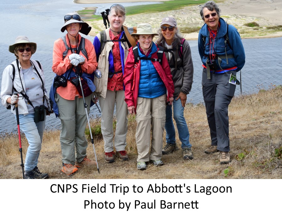 CNPS Field Trip to Abbott's Lagoon