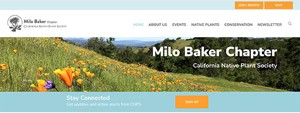 Milo Baker website banner
