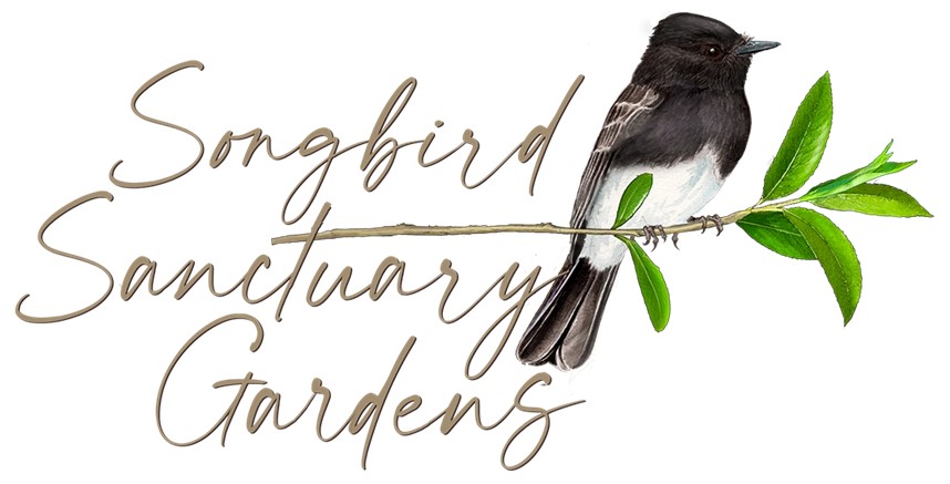 songbird sanctuary logo Veronica Bowers
