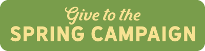 Give to Spring Campaign button