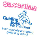 Supporting Guiding Eyes for the Blind