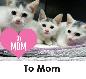Ecard: To Mom