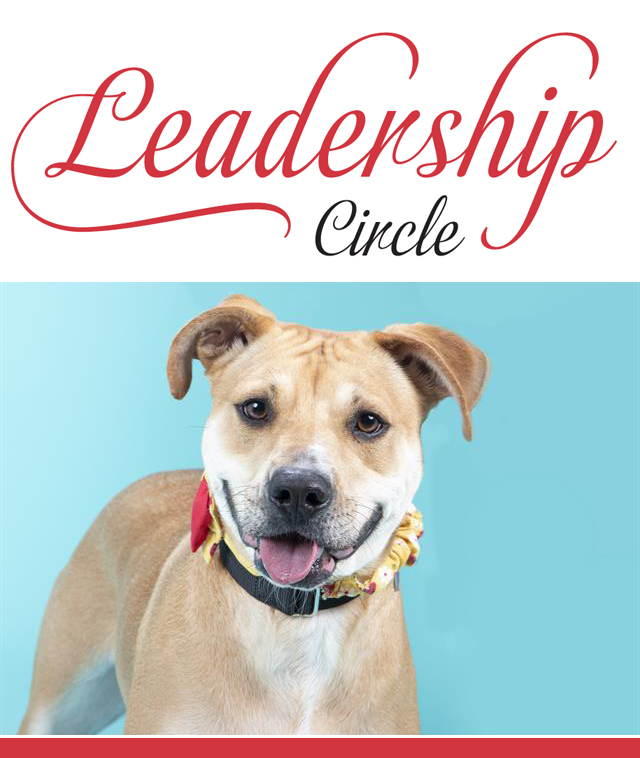 Leadership Circle 2022