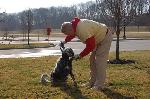 Click here for more information about  Volunteer Orientation - Best Buddy Pet Center in Maryland Heights