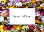 Click here for more information about Happy Birthday Flowers