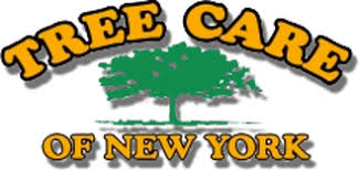 Tree Care of NY