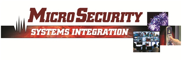 Micro Security 