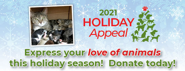 2021-Holiday-Tree-Appeal-Donation-Banner.jpg