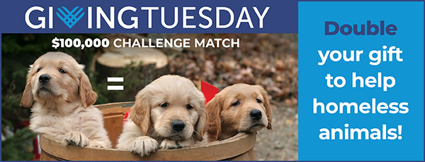 2022-Giving-Tuesday-Donation-Banner.jpg