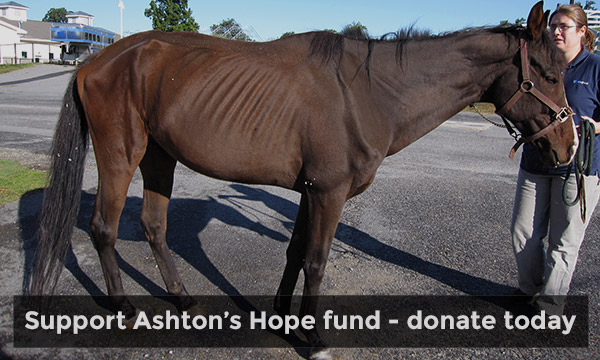 Ashton's Hope Donation Form Header