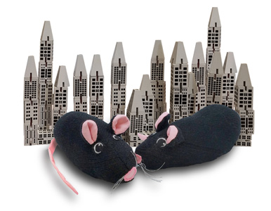 city critters rats