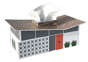 tissue box butterfly house sm.jpg