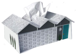 tissue box folded plate house sm.jpg