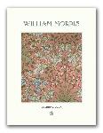 Click here for more information about William Morris Coloring Book