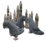 Click here for more information about "City Critters" Pigeons