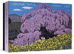 Click here for more information about Kzuyuki Ohtsu Cherry Trees Boxed Notecards