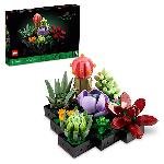 Click here for more information about Succulents LEGO® Building Set