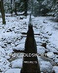 Click here for more information about Andy Goldsworthy Projects 