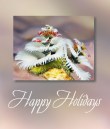 E-Card - Happy Holidays