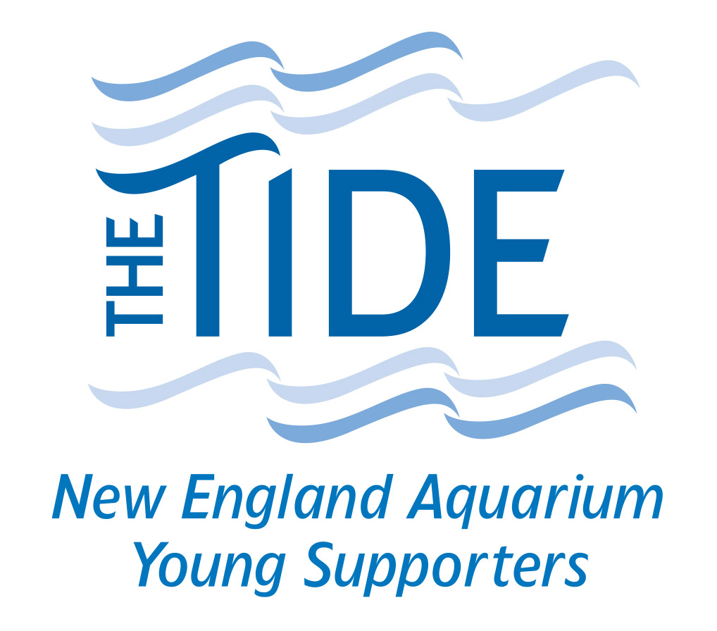 The Tide Logo