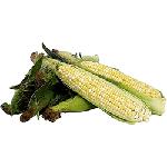 Click here for more information about Fresh Corn