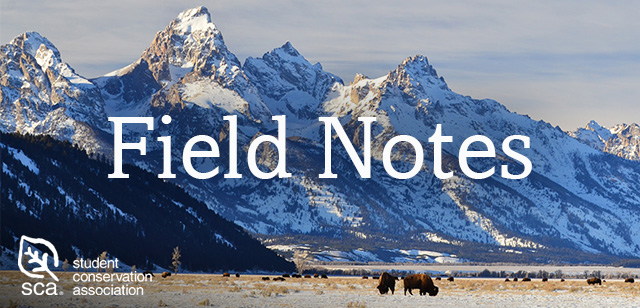 Field Notes E-Newsletter Header Image overlayed with the Student Conservation Association logo
