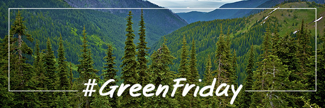 Image a park with #GreenFriday overlay