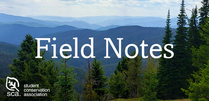 Field Notes E-Newsletter Header Image overlayed with the Student Conservation Association logo