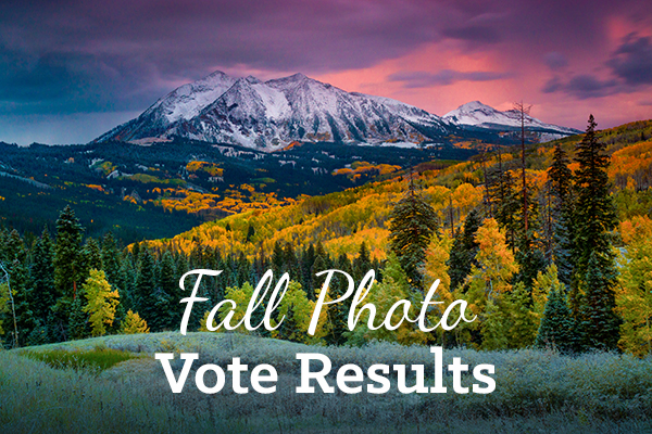 Image of the winning photo from the fall photo vote