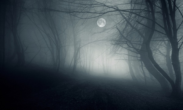 Image of a dark forest with a full moon