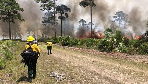 Two people standing on trail with prescribed fire burning in background