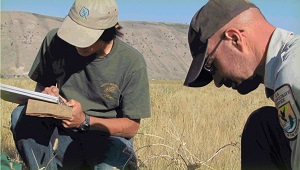 Image of Two Conservationists Working Side by Side