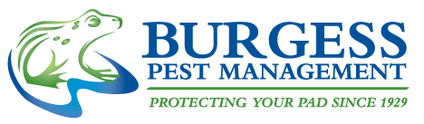 Burgess Pest Management