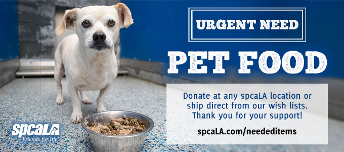 can you donate dog food to shelters