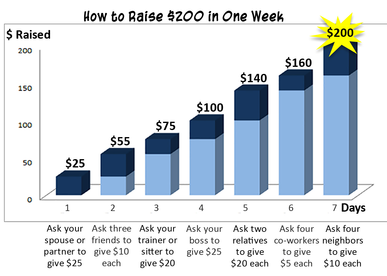 How to Raise $200 in One Week